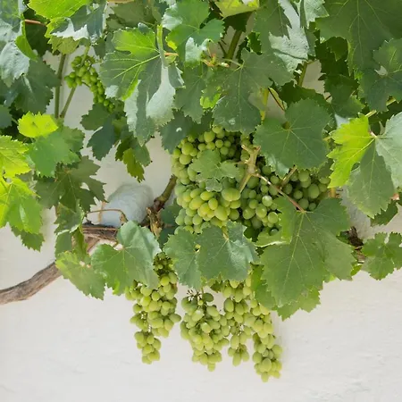Masseria Parco Della Grava ファームステイ ペッツェ・ディ・グレーコ