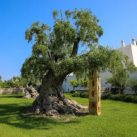 Farm stay Masseria Parco Della Grava Pezze Di Greco