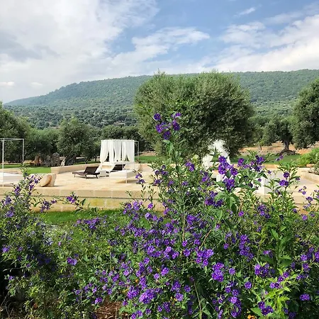 Masseria Parco Della Grava ペッツェ・ディ・グレーコ