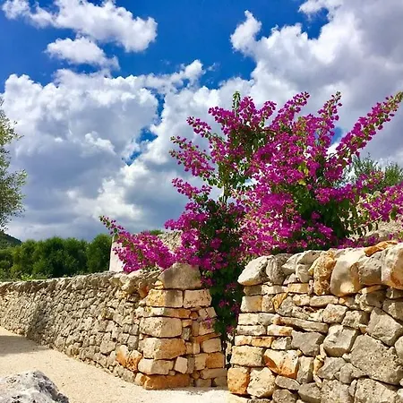 Masseria Parco Della Grava *